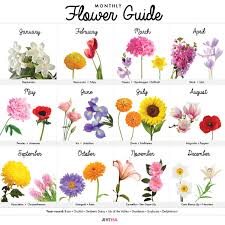 Birth Flowers For Each Month Of The Year A Visual Guide To Wedding Flowers By Month Birth Flowers Birth Flower Tattoos Birth Month Flowers