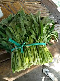 Resep sayur bayam bening di video kali ini saya berbagi resep sayur bening bayam yang mudah dan enak. Arti Mimpi Sayur Bayam Melihat Menanam Membeli Memasak Dan Makan Sayur Bayam Idnfarmers