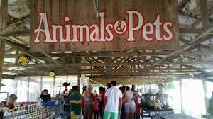 Not permitted in our flea market: Animals Pets Area Picture Of Keller S Flea Market Savannah Tripadvisor