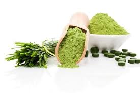 Nell'organismo animale (i vegetali ne sono privi) la carnitina viene sintetizzata a partire dall'aminoacido lisina. Alimenti Ricchi Di Vitamina B12 Quali Sono Cure Naturali It