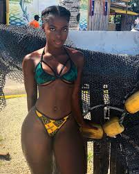 Compelling SILK-101 Magnetism