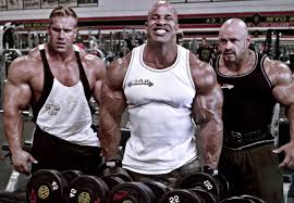 Regular price from 1000 sale price from 1000 regular price. Jay Cutler Biography Musclelycious