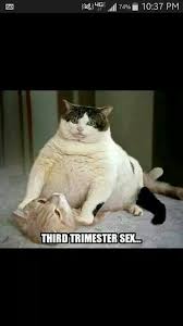 Pin On Ahahajajajajaja