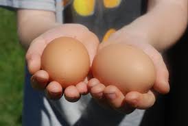 Calories from fat 89.5 ( 60.9 %) % daily value *. Are Eggs Healthy Are Brown Eggs Better Here S The Truth