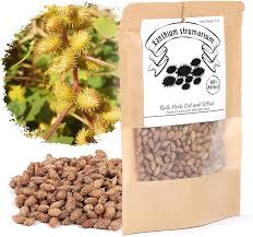 Image result for Xanthium