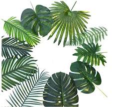 Tropical palm trees manufactures the most realistic durable, versatile and affordable indoor and outdoor artificial palm trees available anywhere. Pin On Stuff For Ma Fathers Birthday