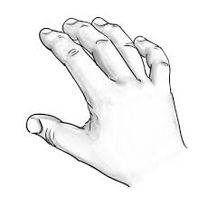 Even experienced artists have had to study this skill closely to master it. How To Draw Hands