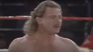 Wrestlers Who Tried Their Hand At Politics