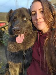 Making dog bones from deer legs with marrow?