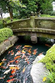 To ensure your success, we use our advantage plug and play system. Shitamachi Koi Koi Japanese Garden Koi Pond Koi