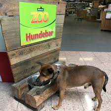 Schauen sie sich jetzt die aktuellen angebote von dehner gartencenter an. Im58xw5a6r1w7m