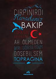 Ortam Kutuphanesi Kutlu Asya Wordpress Turkler Askeri Tarih Dovus Sanatlari
