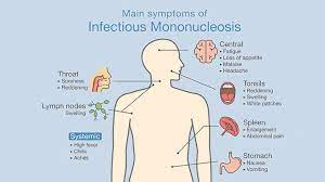 We did not find results for: How You Know You Have Mononucleosis Everyday Health