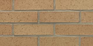 It's important to remember that as the sun moves across the sky each day, the light on your home will change. Acme Brick Co Thinbrik Ambrico Thin Brick Brick Veneer