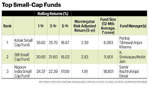 The Best Small-Cap Fund To Invest In 2022 - Shabbir Bhimani