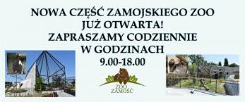 Maybe you would like to learn more about one of these? Witamy W Zoo Zoo Zamosc