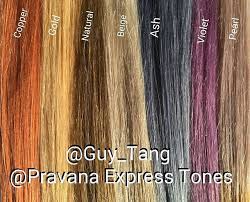 These Are The Guytang Pravana Express Tones Swatches Used