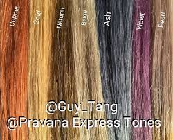 these are the guytang pravana express tones swatches used