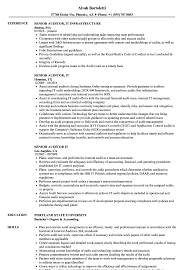 Write an engaging it resume using indeed's library of free resume examples and templates. Senior Auditor It Resume Samples Velvet Jobs