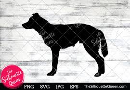 Download Border Collie Dog Silhouette Graphic By Thesilhouettequeenshop Creative Fabrica SVG Cut Files