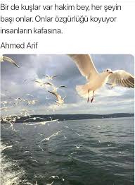 Hulya Ertas Adli Kullanicinin Siirler Panosundaki Pin Guzel Gozler Edebiyat Guzel Soz