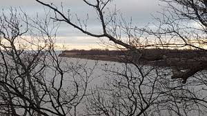 Косяки дня, недели, месяца, года&#33; Mamonovo Foto Izbrannye Izobrazheniya Mamonovo Kaliningradskaya Oblast Tripadvisor