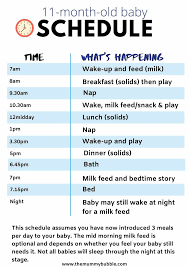 Perfect 11 Month Old Baby Schedule - The Mummy Bubble