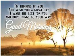 190 Good Morning Gif For Whatsapp 2020 Video Status Funny Animations Filmschoolwtf