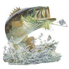 Bass Fishing Stickers Buzz Mini Fishing Decals Bass Fishing Fish Art