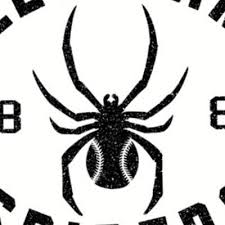 Baseball teams used to come and go, and even those with staying power used to change their names fairly the. Cleveland Spiders Clespiders2021 Twitter