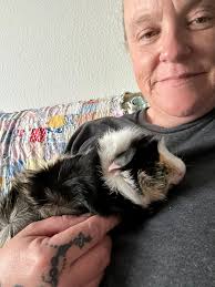 Has anyone seen rubber bands holding plant mesh together?