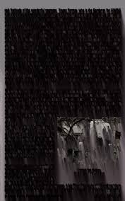 Image result for Nothoperanema squamiseta