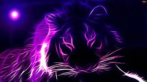 Fantastic Purple Wallpaper Purple Cat Abstract Lion