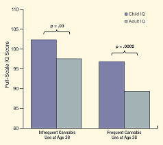 early onset regular cannabis use is linked to iq decline