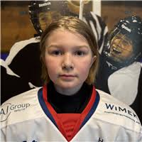 Sweden Hockey Trophy