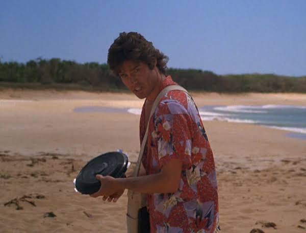 Hard Ticket to Hawaii' (1987): The very best of '80s B-movie escapism –  Movies & Drinks