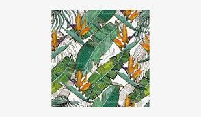 Tropical Banana Palm Leaves Pattern Banana Transparent Png 400x400 Free Download On Nicepng Find images of banana leaf. tropical banana palm leaves pattern