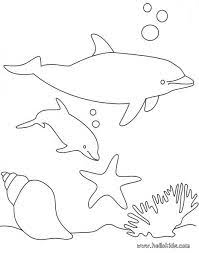 Maybe you would like to learn more about one of these? Dolphin Color Page Coloring Home