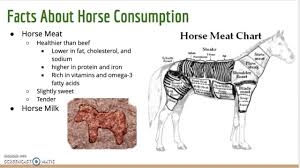 For Horse Slaughter
