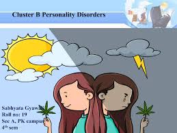 Image result for Cluster B Personality Disorder