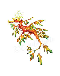 Leafy Sea Dragon Watercolor Printable Art Seahorse Printable Etsy Seahorse Painting Leafy Sea Dragon Sea Dragon Leafy sea dragon tattoo sea serpent japanese dragon tattoo. leafy sea dragon watercolor printable