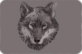 It's simple!simply subscribe us for more drawing tutorial. How To Draw A Wolf Face Drawingnow