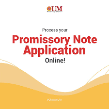 But the promissory note is the document that contains the promise to repay the amount borrowed. Online Promissory Note Guidelines