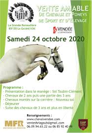 Côtes d'armor (22) finistère (29) ille et vilaine (35) morbihan (56) choisissez. Vente De Jeunes Chevaux De Sport A La Gaubretiere Conseil Des Equides Pays De Loire
