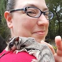 Lord Brocktree (Redwall, #13) by Brian Jacques