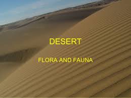 How do rain shadow deserts happen and where do they happen at? Desert Flora Fauna