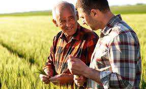 Simplul fapt ca ai gasit o idee geniala si ca iti doresti sa ai succes nu este de ajuns pentru a pune pe picioare o afacere sustenabila. 3 Idei De Afaceri De Viitor In Agricultura Cat De Profitabila Este Cresterea Prepelitelor Stiriagricole Ro