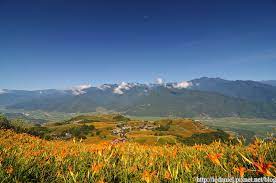 2011花況極優的花蓮六十石山金針花季 停泊美麗角落 痞客邦 natural landmarks formosa nature