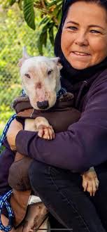 Save The Dogz Fundraising Group.