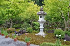 Gartenflora Picture Of Kashima Saga Prefecture Tripadvisor